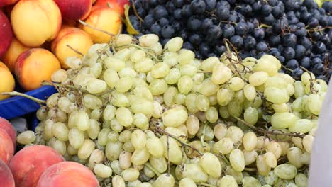 fresh fruits at the market