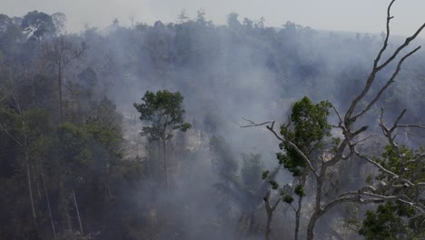 Feuer,-Dürre,-Klimawandel,-Globale-Erwärmung-Und-Entwaldung-Kollidieren,-Um-Den-Amazonas-Regenwald-Zu-Zerstören---Luftvorbeiflug
