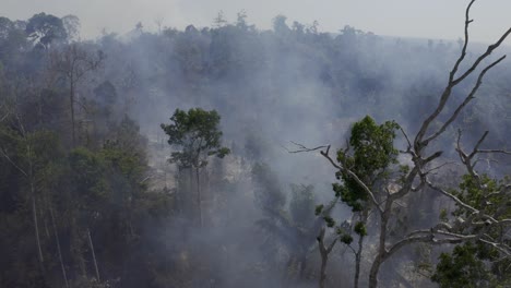 fire, drought, climate change, global warming and deforestation collide to destroy the amazon rain forest - aerial flyby