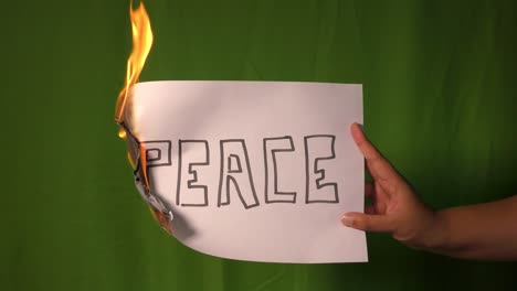 a hand holds the burning paper with peace text word on it.