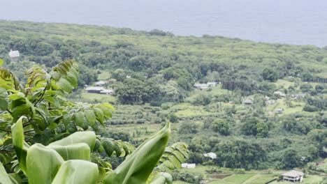 Kinoartige,-Dröhnende-Aufnahme-Des-Panorama-Aussichtspunkts-Mit-Blick-Auf-Den-Regenwald-Entlang-Der-Küste-Von-Maui-Auf-Halbem-Weg-Zum-Hana-Point-In-Hawaii