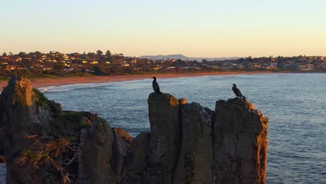 Rocas-De-La-Catedral-En-La-Playa-De-Kiama-Con-Cormoranes-Sentados-En-La-Parte-Superior-Cerca-De-La-Ciudad-Costera-En-Kiama-Downs,-Nueva-Gales-Del-Sur,-Australia---Toma-Aérea