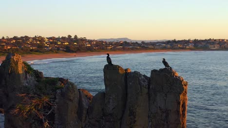 rocas de la catedral en la playa de kiama con cormoranes sentados en la parte superior cerca de la ciudad costera en kiama downs, nueva gales del sur, australia - toma aérea