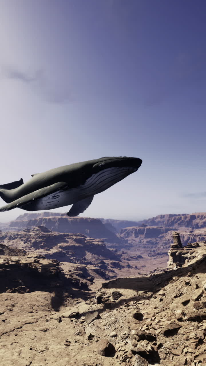 Whale soaring majestically above the grand canyon landscape during daylight