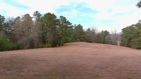 drone flying out of trees