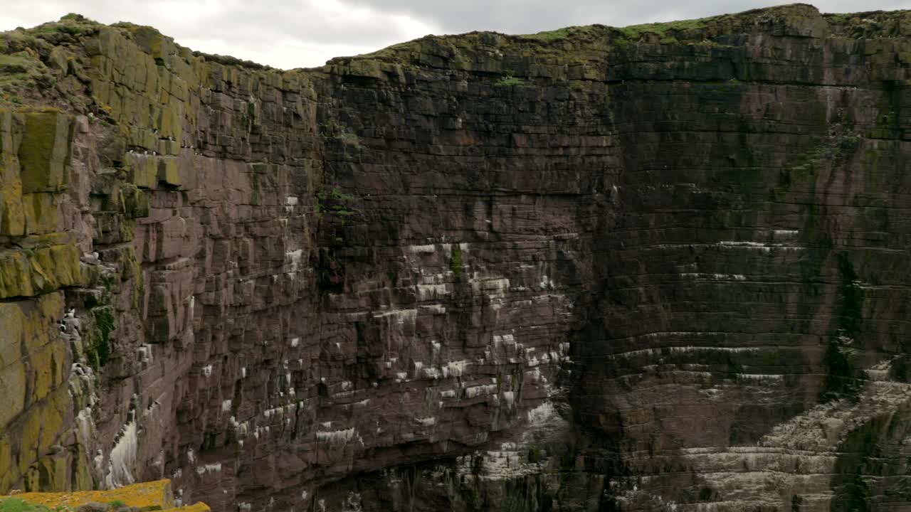 una toma panorámica lenta de una colonia de aves marinas en un acantilado espectacular y escarpado mientras las olas verde turquesa chocan contra la base del acantilado