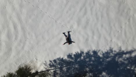 man lying in the snow