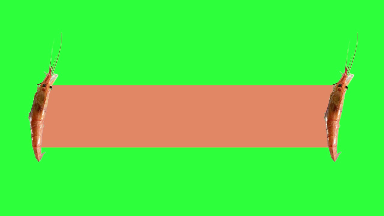 морские креветки в циклическом вращающемся движении