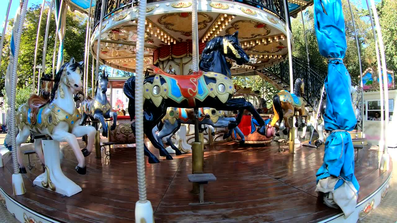 카루셀 비디오 4k