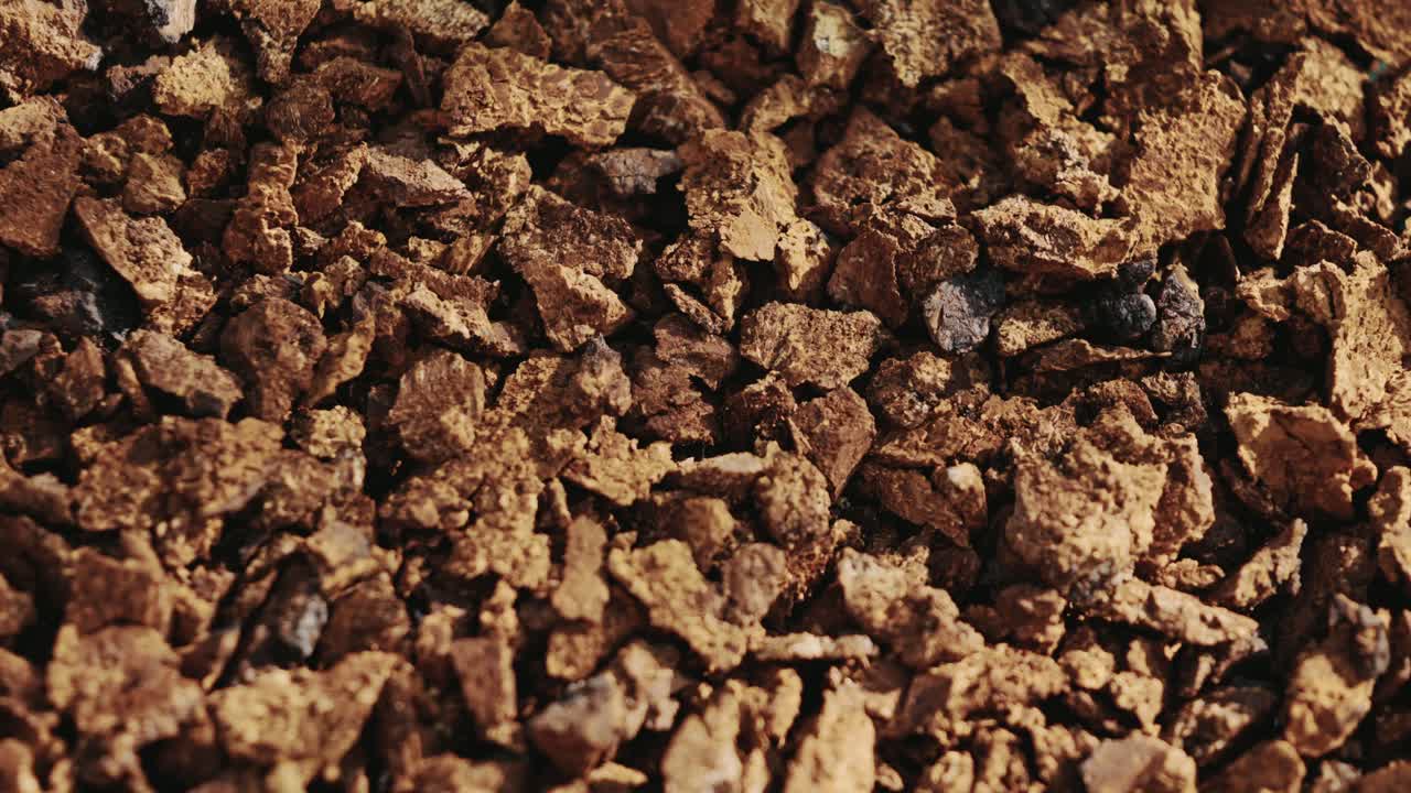 trozos de hongo chaga - súper alimento