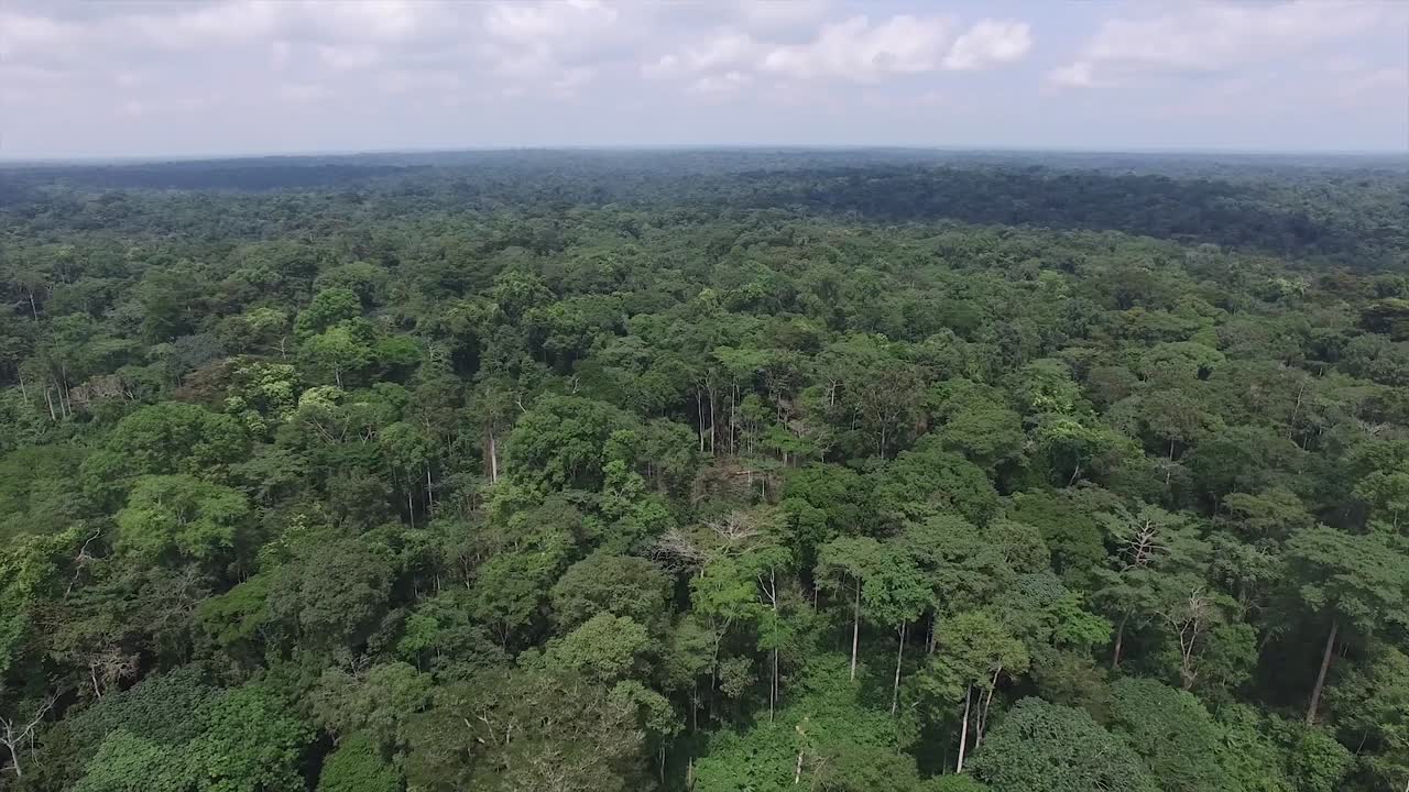 video grabado en lo alto desde un dron