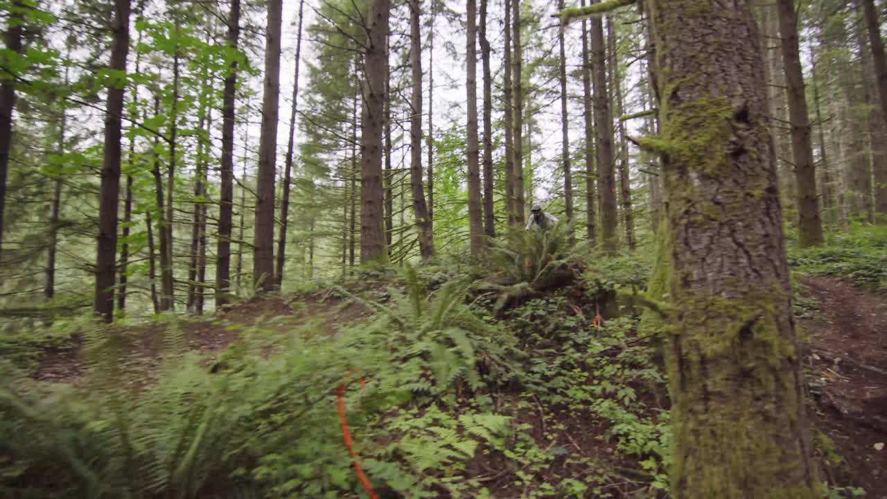 ciclista de montaña saltando en una sola pista entre pinos altos, seguimiento panorámico a la izquierda