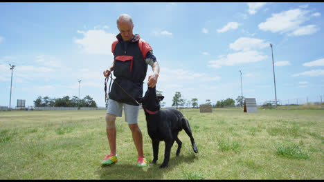 Entrenador-Alimentando-Comida-A-Su-Perro-4k