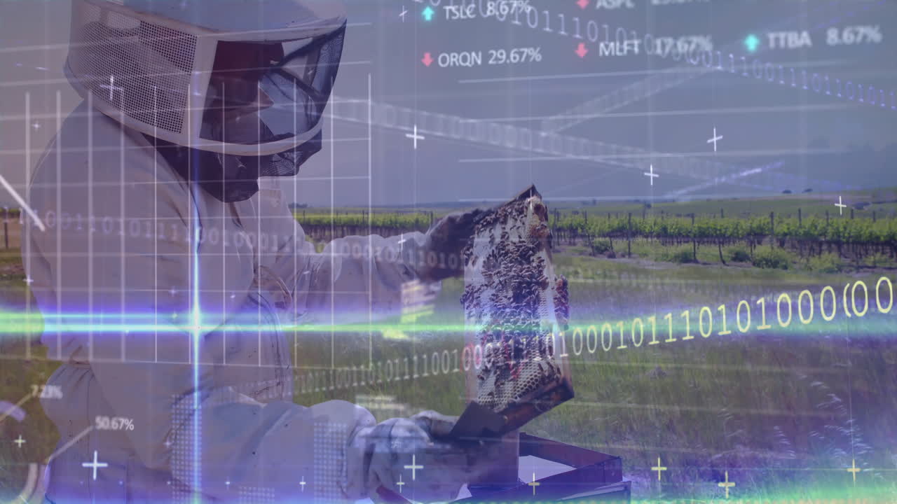 apicultor inspeccionando la colmena con datos del mercado de valores y animación de código binario sobre