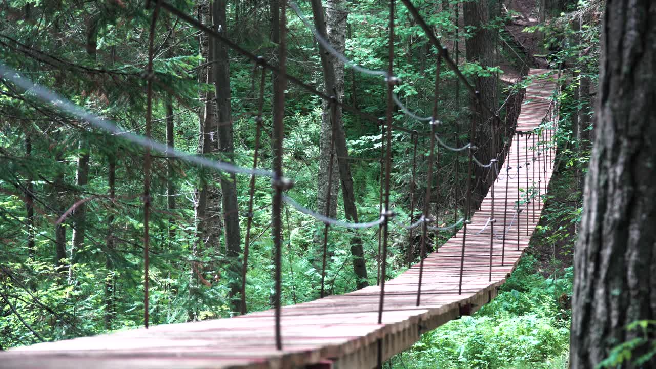 puente colgante de madera en un bosque