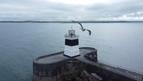 Holyhead-Rompeolas-Faro-Más-Largo-Hormigón-Costero-Mar-Protección-Hito-Vista-Aérea-órbita-Derecha-Con-Gaviota