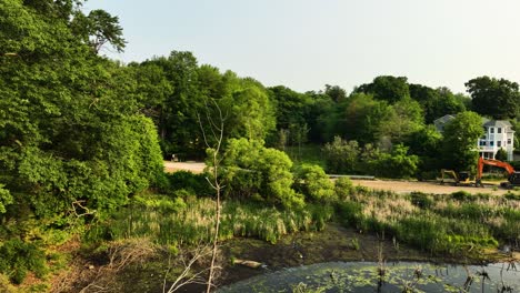 Rotation-around-a-dead-tree-in-a-marsh