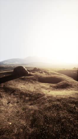 sun shines over grassy field