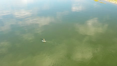 slow flight over a single paddle boarder on still water