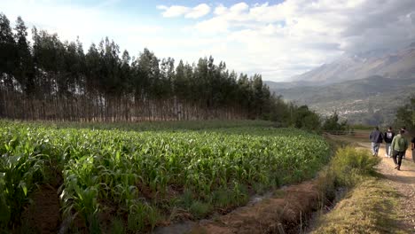 private farm visits at agricultural rural yungay peru