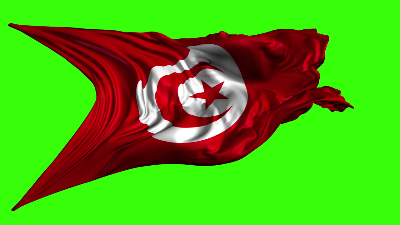 Tunus Bayrağı
