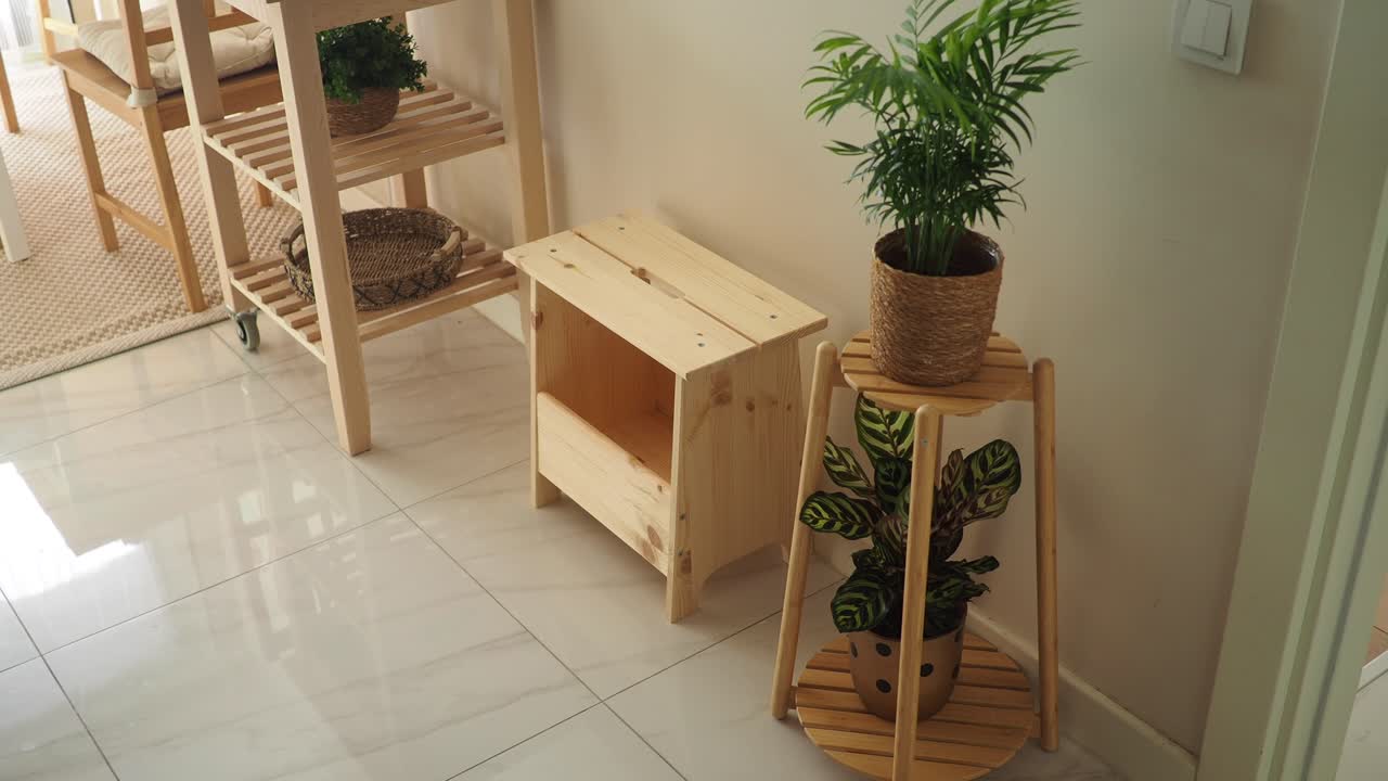 Indoor space with wooden shelves and potted plants
