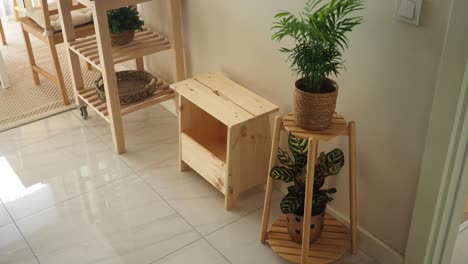 indoor space with wooden shelves and potted plants