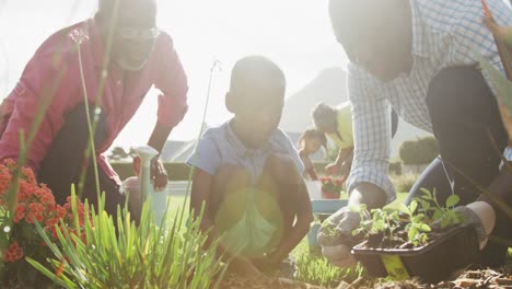 Video-of-happy-african-american-family-planting-and-spending-time-together-in-the-garden