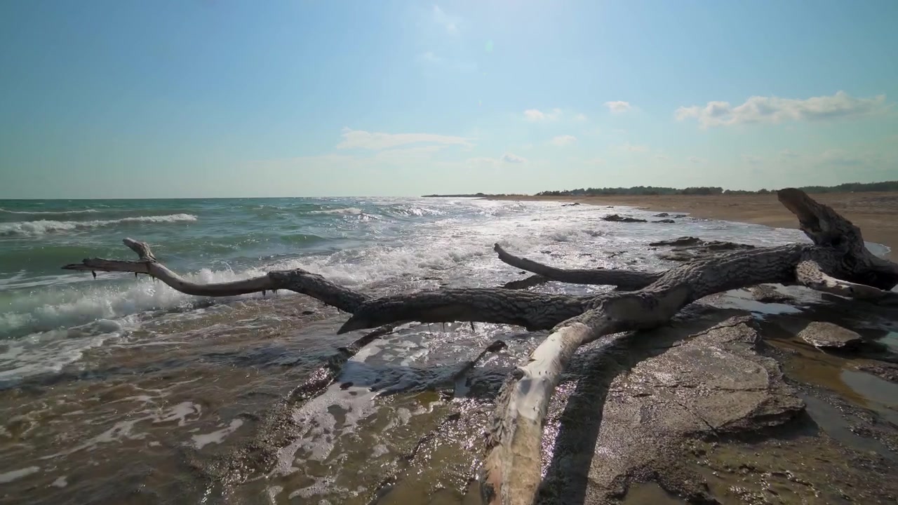 Legno spiaggiato su una spiaggia rocciosa con onde che si infrangono