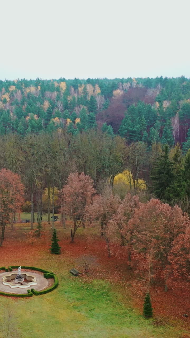 Aerial view of forest tree. Aerial shot of beauty forest nature landscape