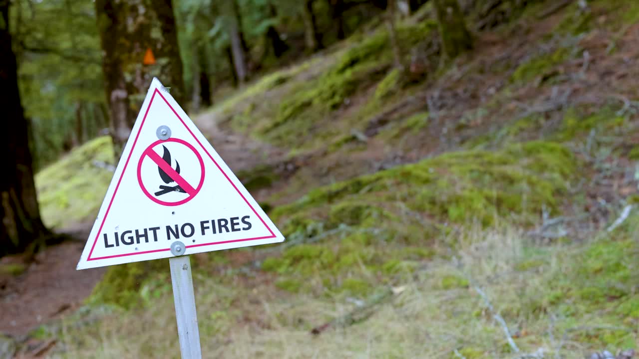 No fire warning sign stands in lush, green forest; handheld camera movement, natural daylight