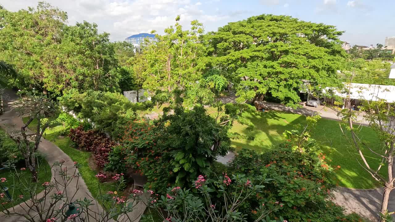 árboles verdes y plantas balanceándose suavemente