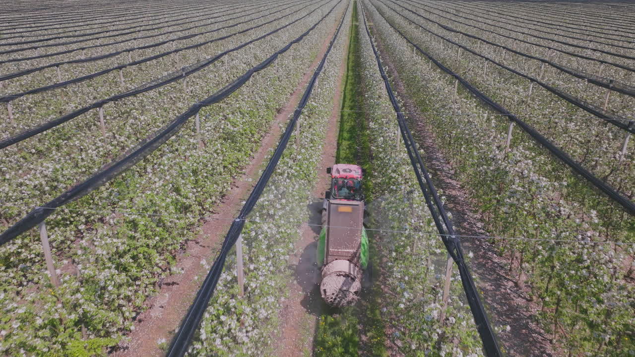 Apple Orchard Spraying