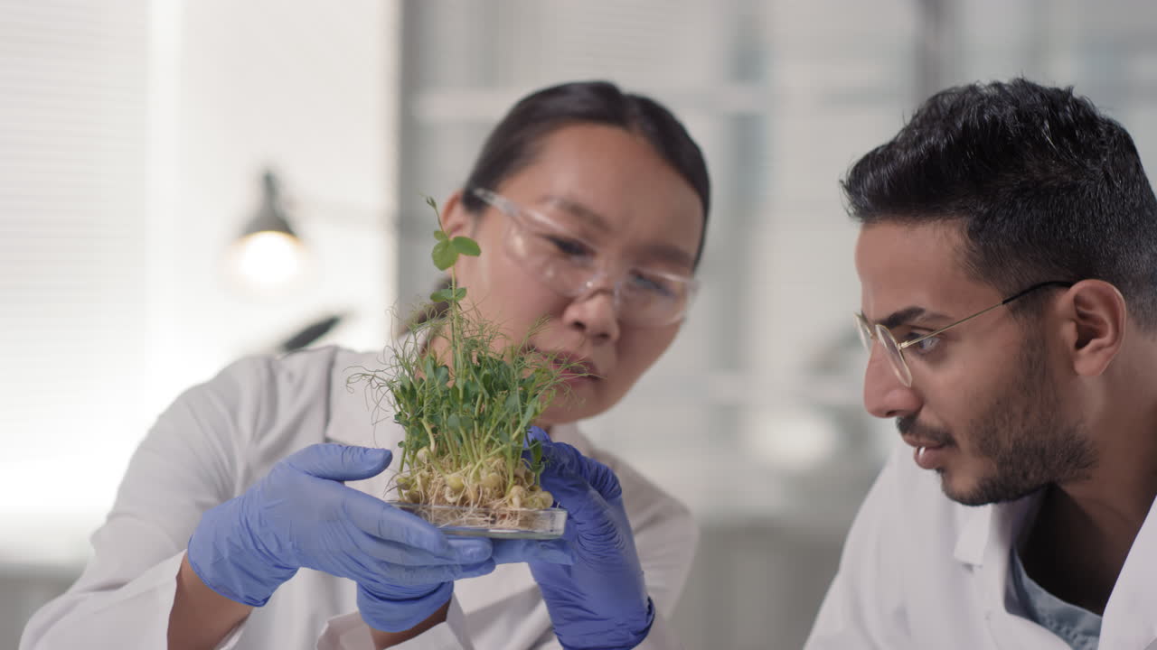 Scientists observing plant growth in a laboratory
