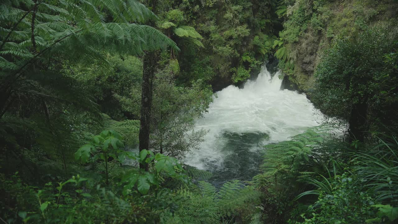 Atemberaubende Zeitlupe der rohen Kraft eines Wasserfalls im neuseeländischen Wald