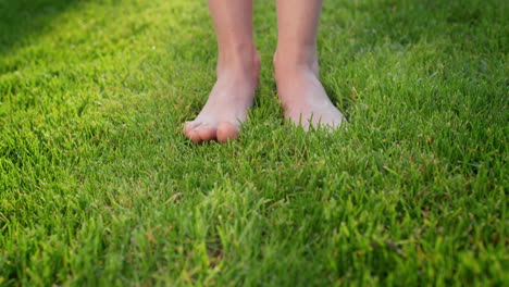 women's feet barefoot in the gentle green grass