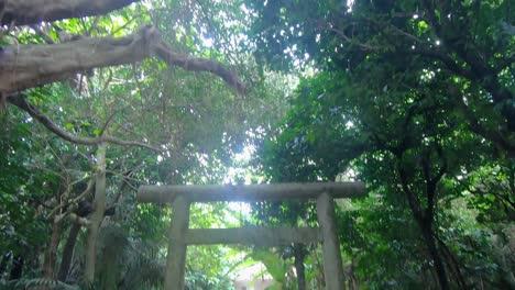 Shinto-Torii-Mitten-Im-Ländlichen-Nationalpark