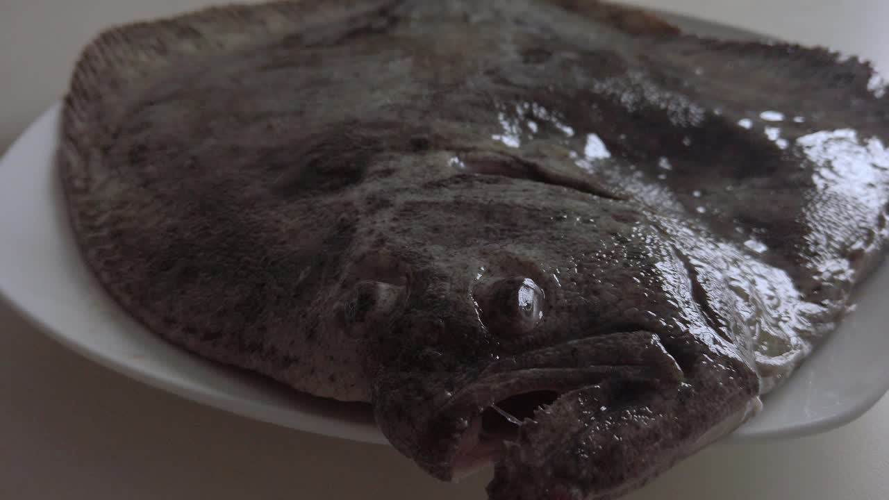 익히지 않은 가자미 넙치의 근접 촬영 세부 사항, 생선 얼굴 쪽으로 이동
