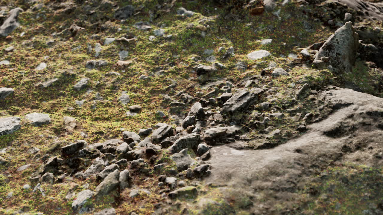 바위 돌 형성이 가까이 있습니다.