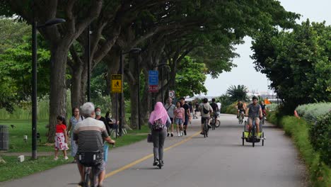 people walking and cycling on a path in a park