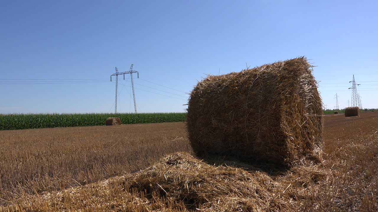 balas de heno en el campo