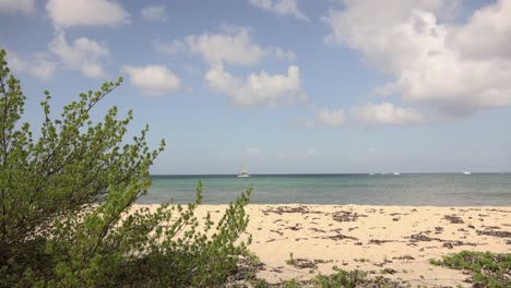 vista de gran ángulo de la playa baja con el océano y los barcos en el fondo en el caribe