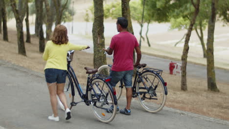 back view of caucasian couple walking with bicycles in park