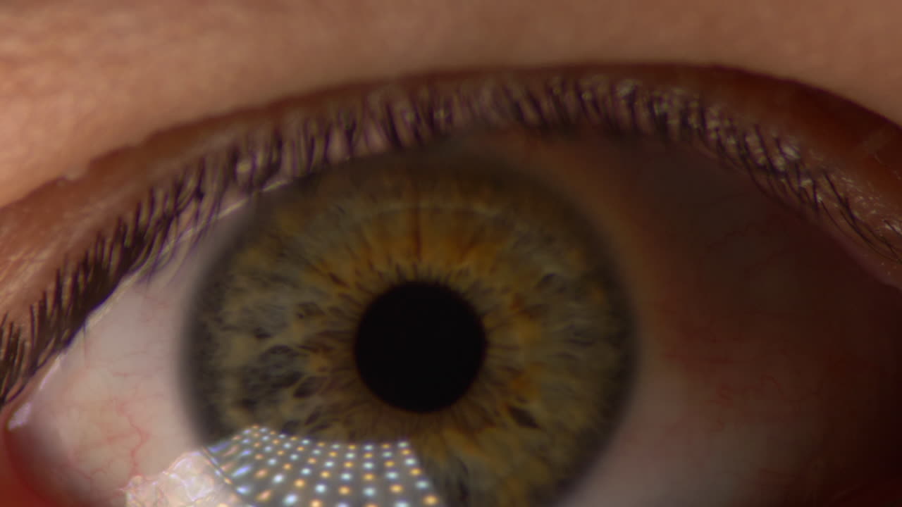 인간의 눈을 닫고 눈꺼풀 매크로를 닫습니다.