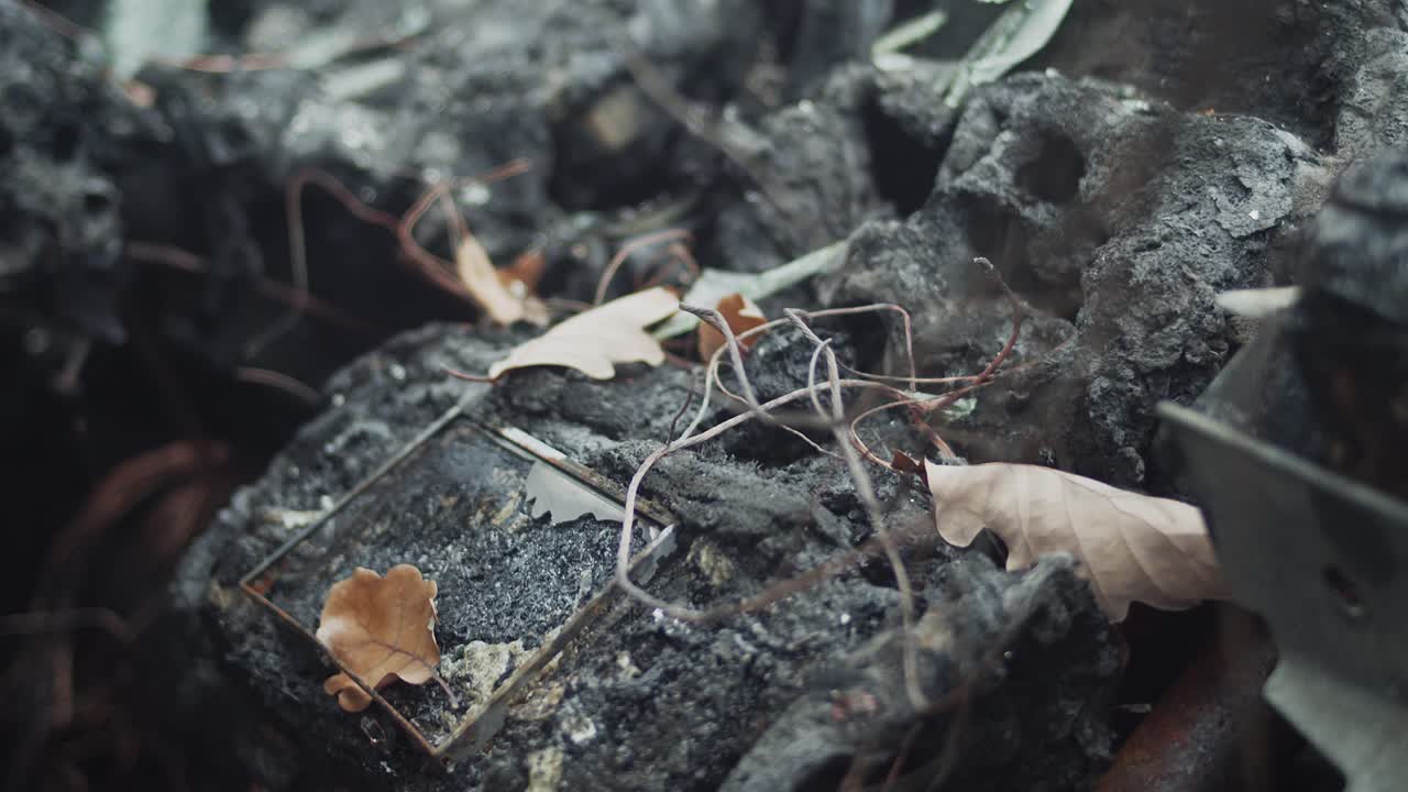 타버린 자동차 내부, 나뭇잎으로 뒤덮인 까맣게 탄 패널의 클로즈업