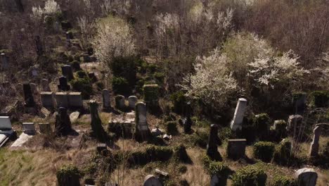 aerial view of old abandoned headstones. halloween background