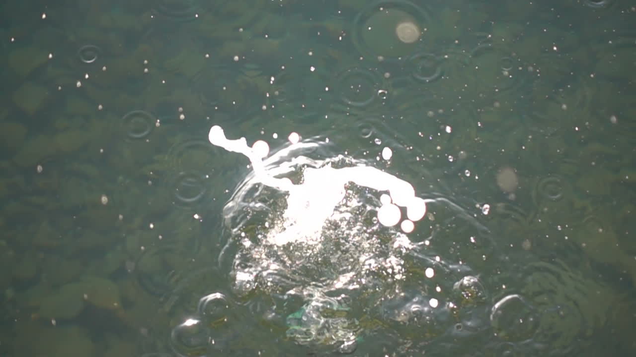 石が水中に落ちる。スローモーション。