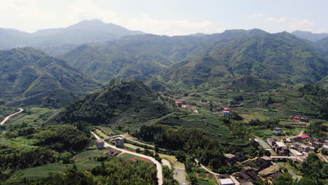 impresionante vista aérea de las plantaciones de té en terrazas en las montañas