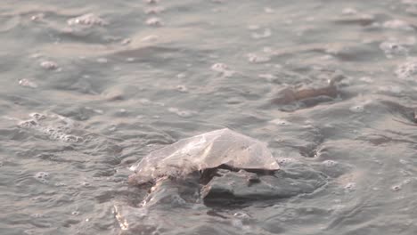 plastic-washing-up-on-the-sea-shore