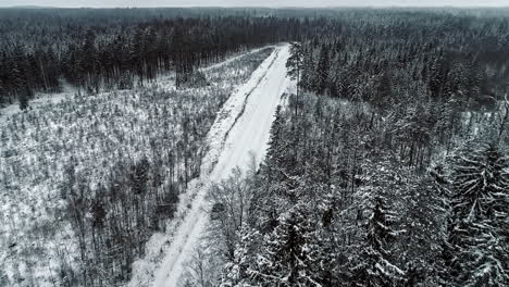 Auto-Fährt-Auf-Ländlicher-Strecke-Durch-Weiße,-Verschneite-Waldlandschaft